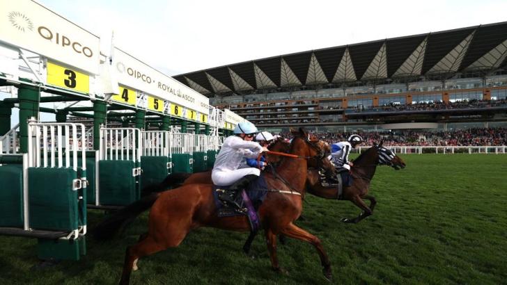 Starting stalls at Royal Ascot